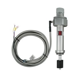 תמונה ממוזערת